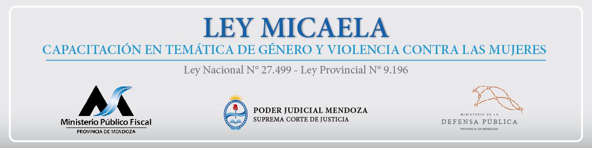 Logo Ley Micaela